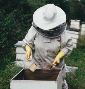 Čebelarka, oblečena v svoj zaščitni znak - opremo za čebelarje.